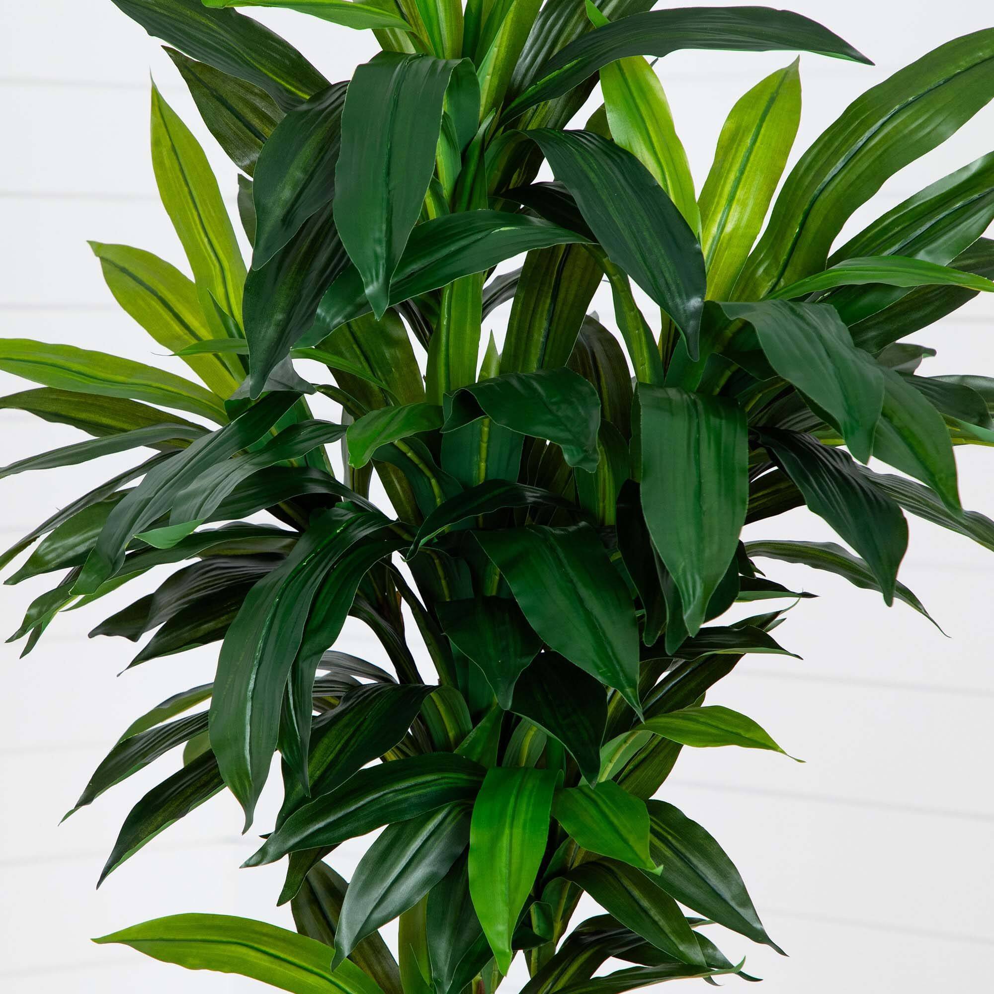 7ft. Potted Green Artificial Dracaena Tree with Real Touch Leaves